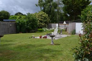 June 25 rear garden alternative view- click for photo gallery